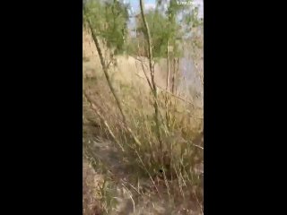 video by alex alexandrov